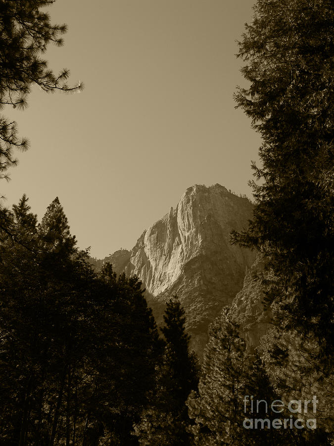 Yosemite Park sepia Photograph by Mini Arora