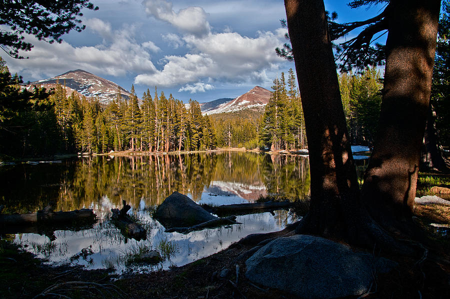 Yosemite National Park Photograph - Yosemite Reflecting Pond by Cat Connor