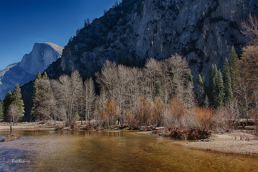 Yosemite National Park Photograph - Yosemite Scene by Bill Roberts