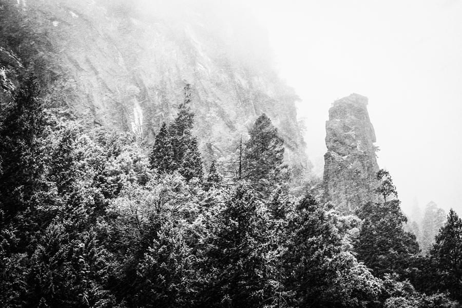 Yosemite Snow Photograph by Priya Ghose