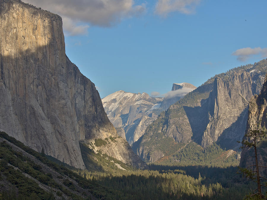 Yosemite Photograph by Steven Lapkin