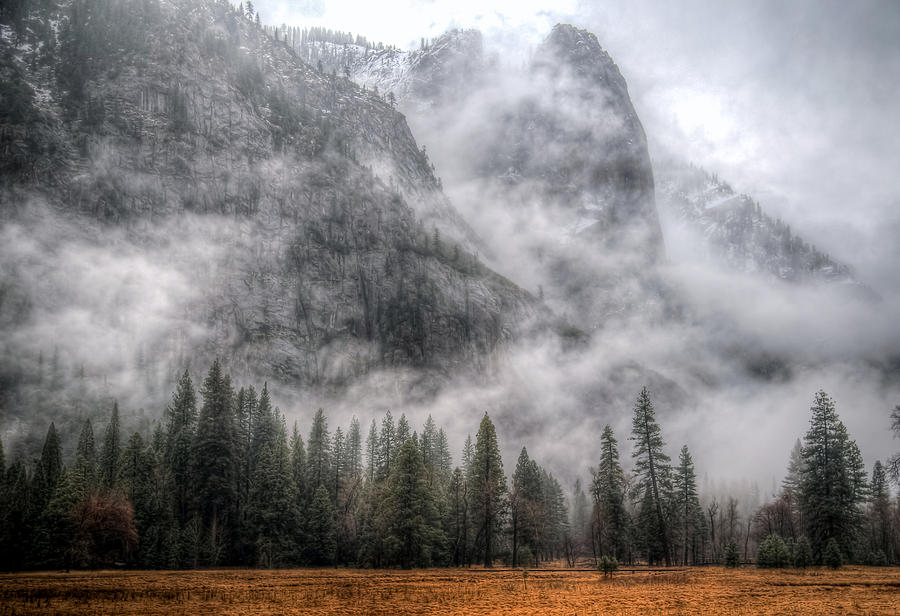 Yosemite Storm Photograph by Mike Ronnebeck