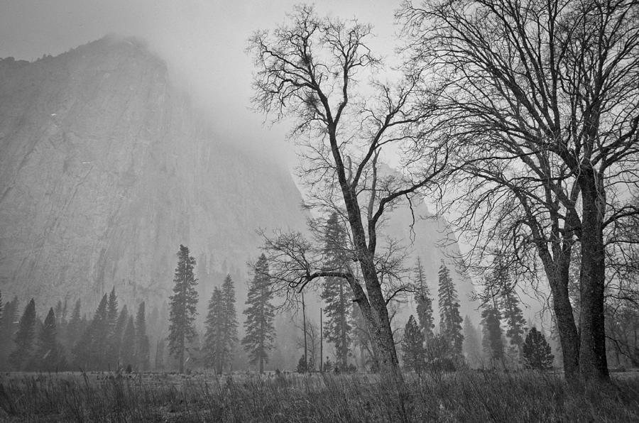 Yosemite Storm Photograph by Priya Ghose