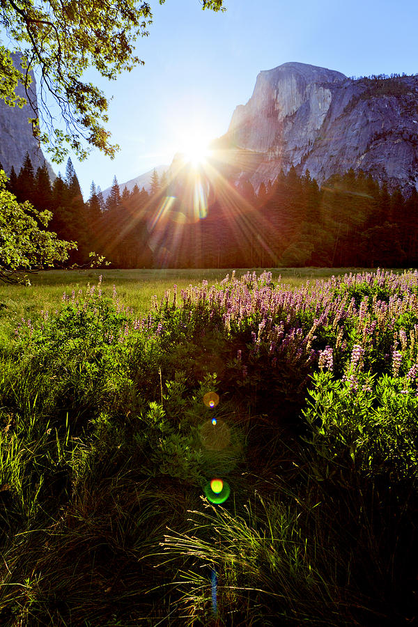 Yosemite National Park Photograph - Yosemite Sunrise Over Half Dome by Her Arts Desire
