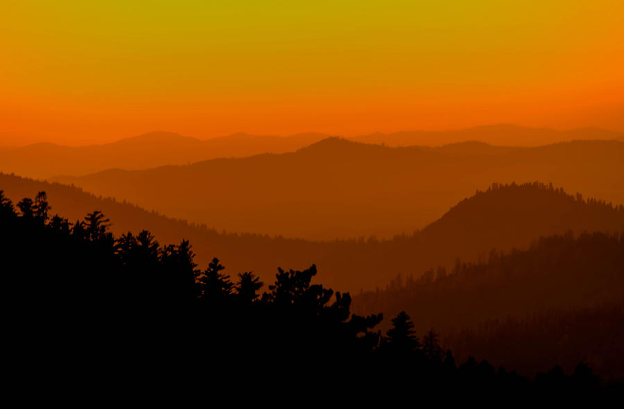 Yosemite Sunset Photograph by Mike Ronnebeck