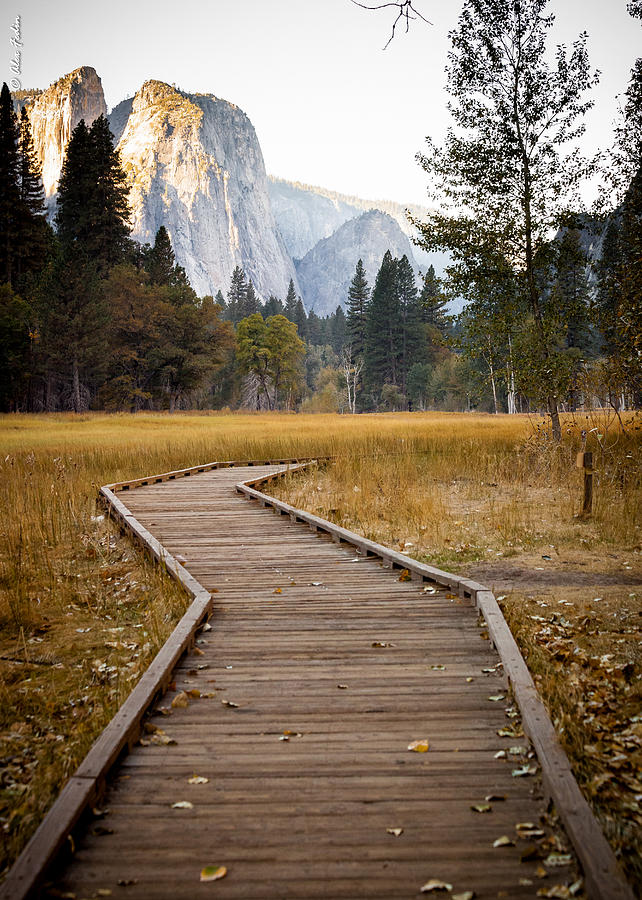 Yosemite Trails Photograph by Alexander Fedin