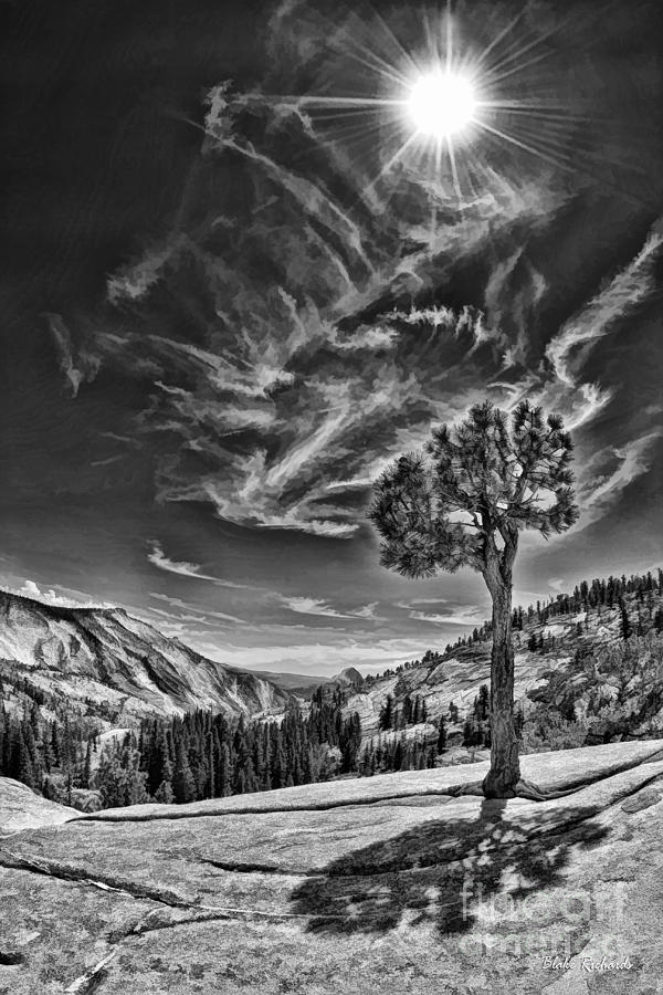Yosemite Tree Wispy Dark Sky Photograph by Blake Richards