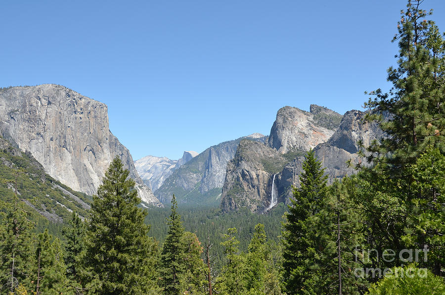Yosemite Tunnel View and Trees Photograph by Debra Thompson