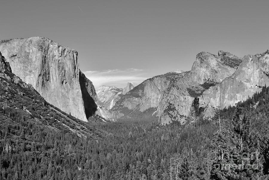 Yosemite Tunnel View Photograph by William Wyckoff
