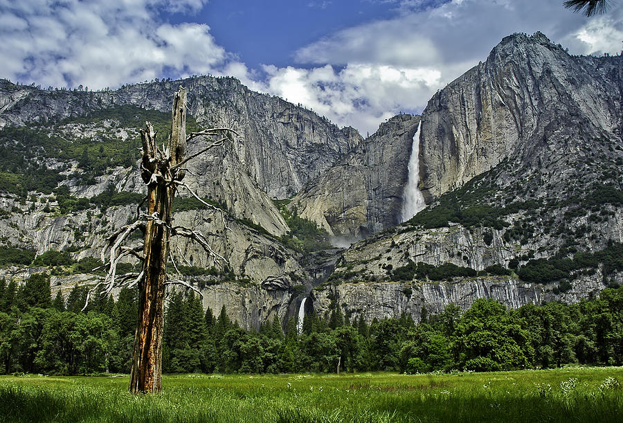 Yosemite National Park Photograph - Yosemite Upper and Lower falls by LeeAnn McLaneGoetz McLaneGoetzStudioLLCcom