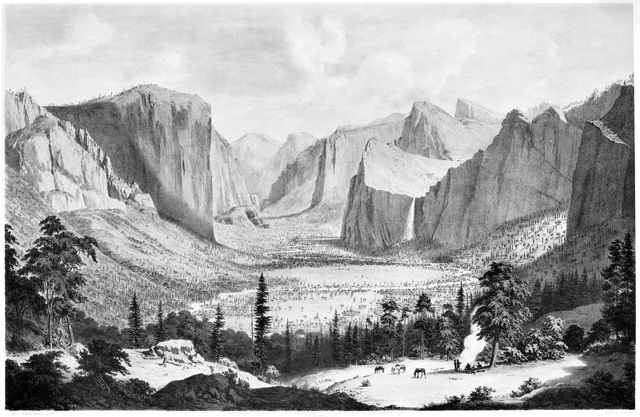Yosemite Valley, 1855 Painting by Granger