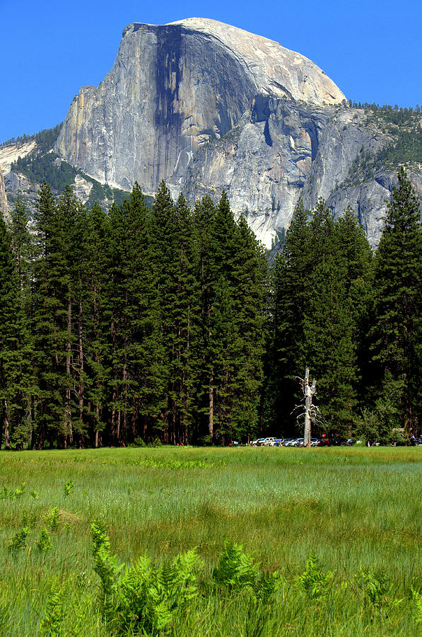 Yosemite Valley and Dome Photograph by Caroline Stella