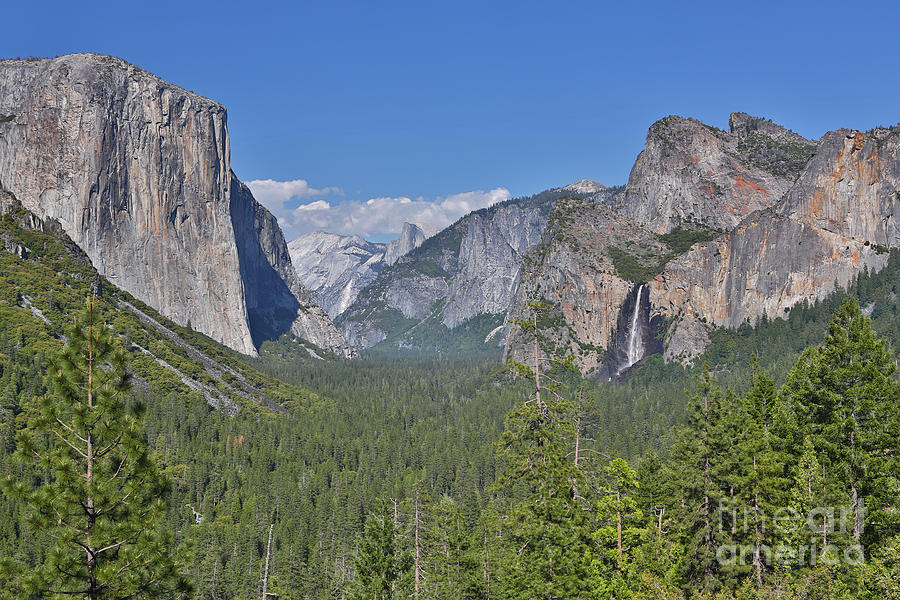 Yosemite Valley Photograph by Bill Singleton
