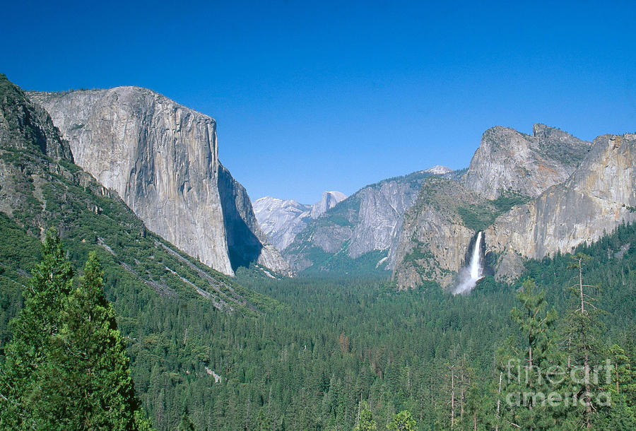 Yosemite Valley Photograph by David Davis