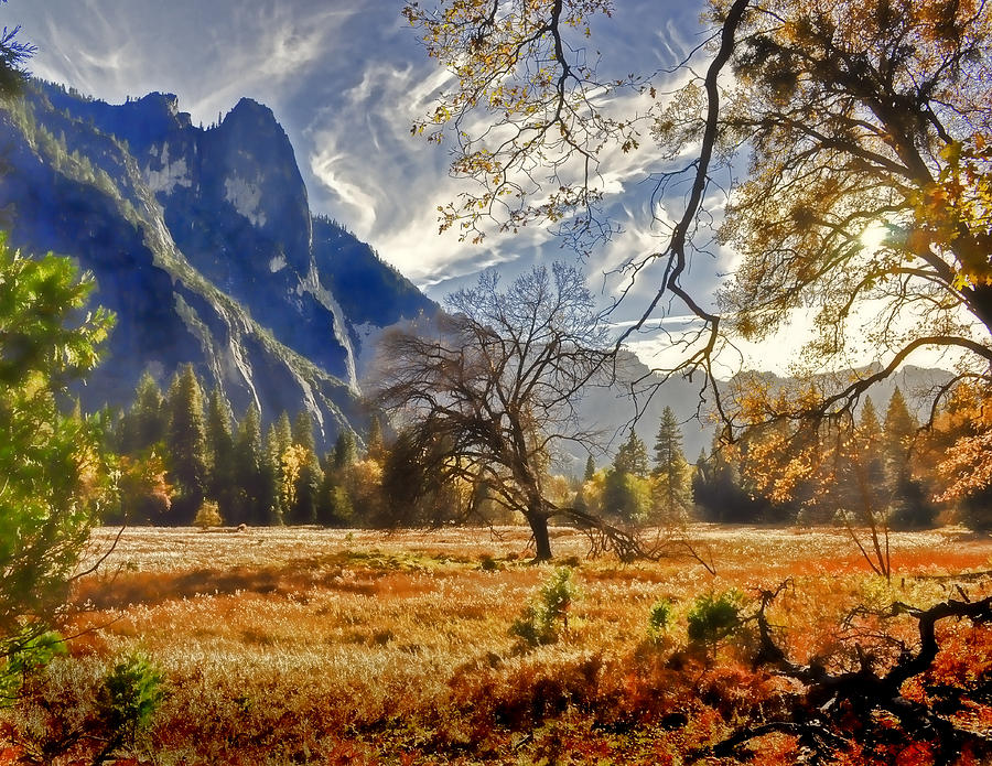 Yosemite Valley Floor Photograph by Dana Sohr