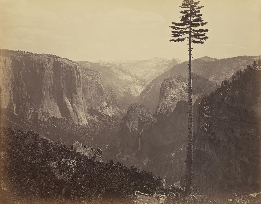 Yosemite Valley From The Best General View Carleton Watkins Drawing by