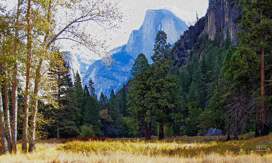 Yosemite Valley Half Dome View Photograph by Jim Pavelle