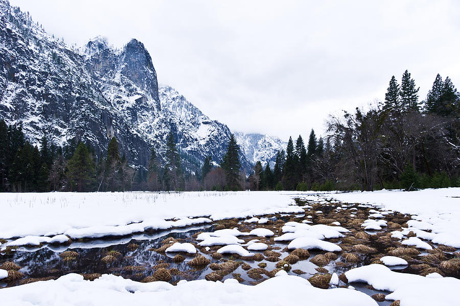 Yosemite Valley In Winter Photograph by Priya Ghose