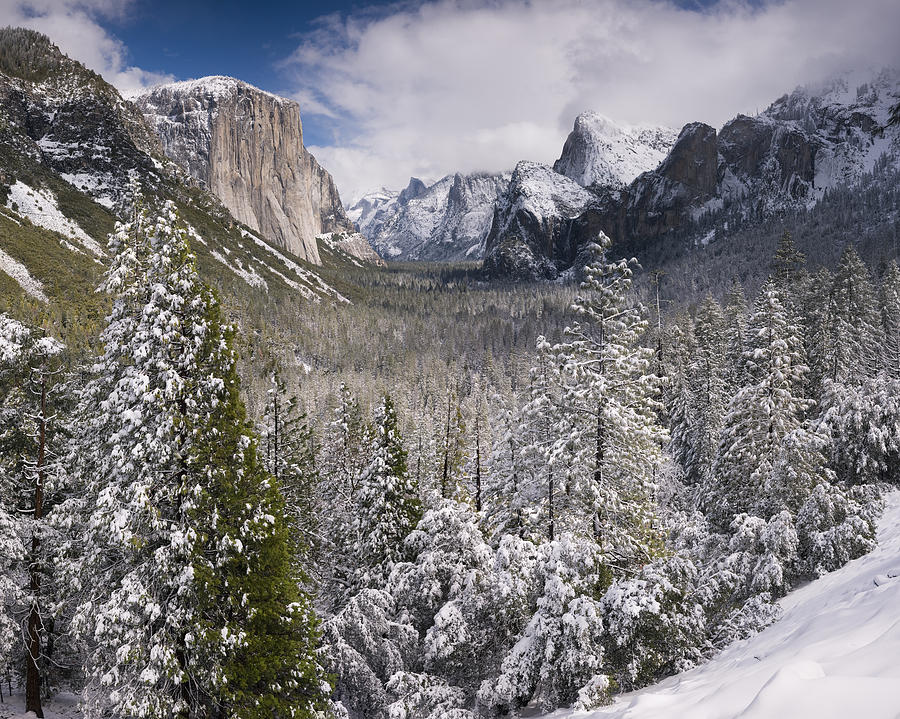 Yosemite Valley in Winter Photograph by Richard Berry - Pixels