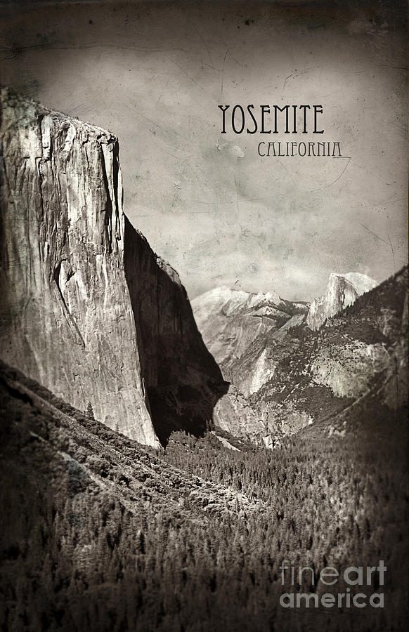 Yosemite Valley Photograph by Jill Battaglia