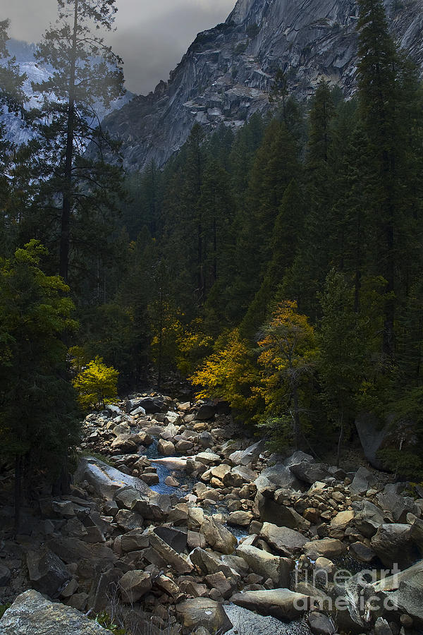 Yosemite National Park Photograph - Yosemite Valley by Laura Jones
