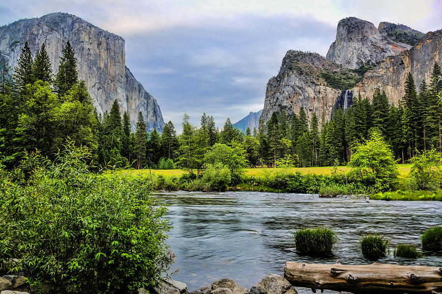 Yosemite National Park Photograph - Rivers Edge by Maria Coulson