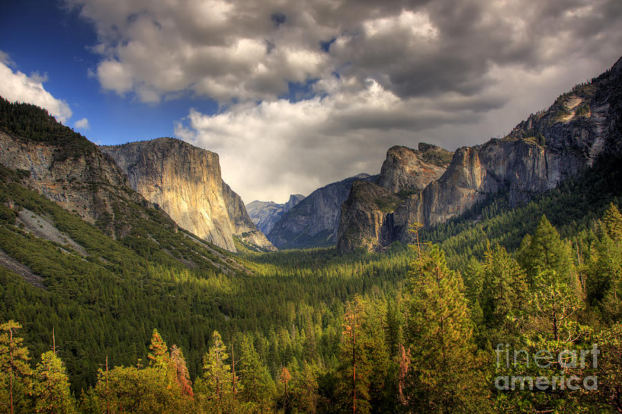 Yosemite Valley Photograph by Mimi Ditchie