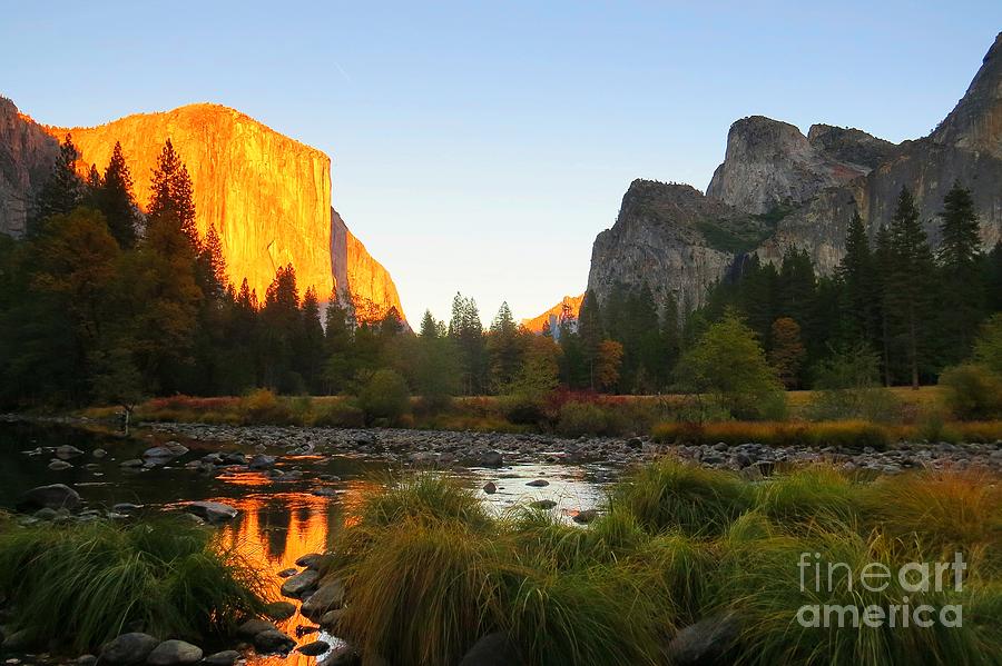 Yosemite National Park Photograph - Yosemite Valley by Scott Cameron