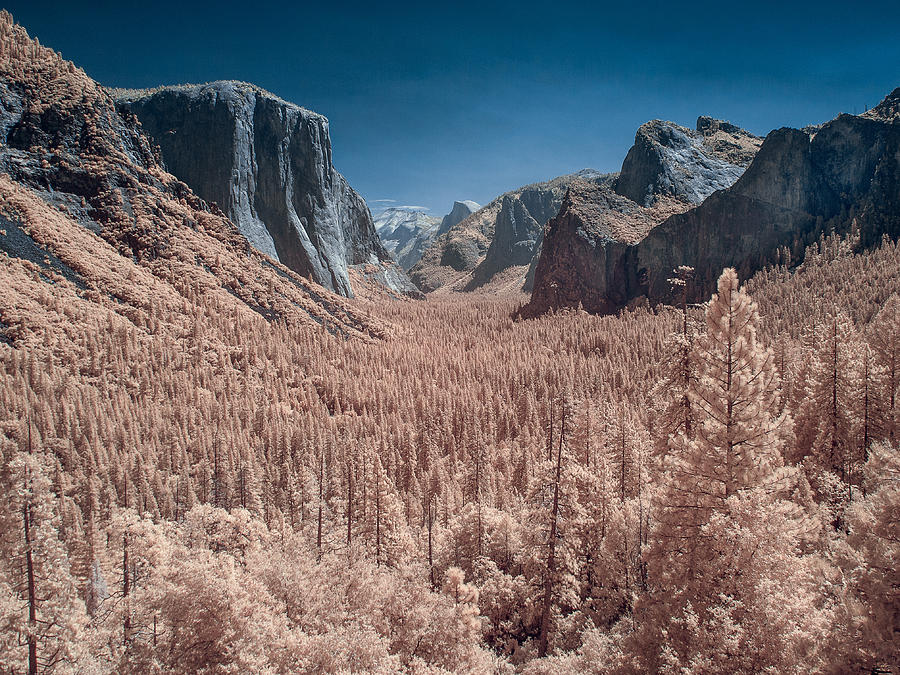 Yosemite Vally in Infrared Photograph by Greg Nyquist