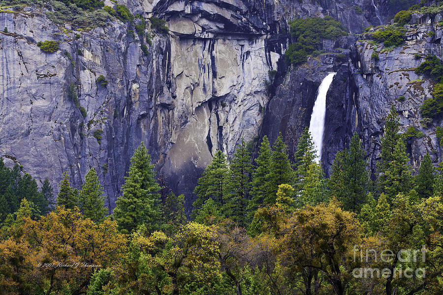 Yosemite Water Fall Photograph by Richard J Thompson 