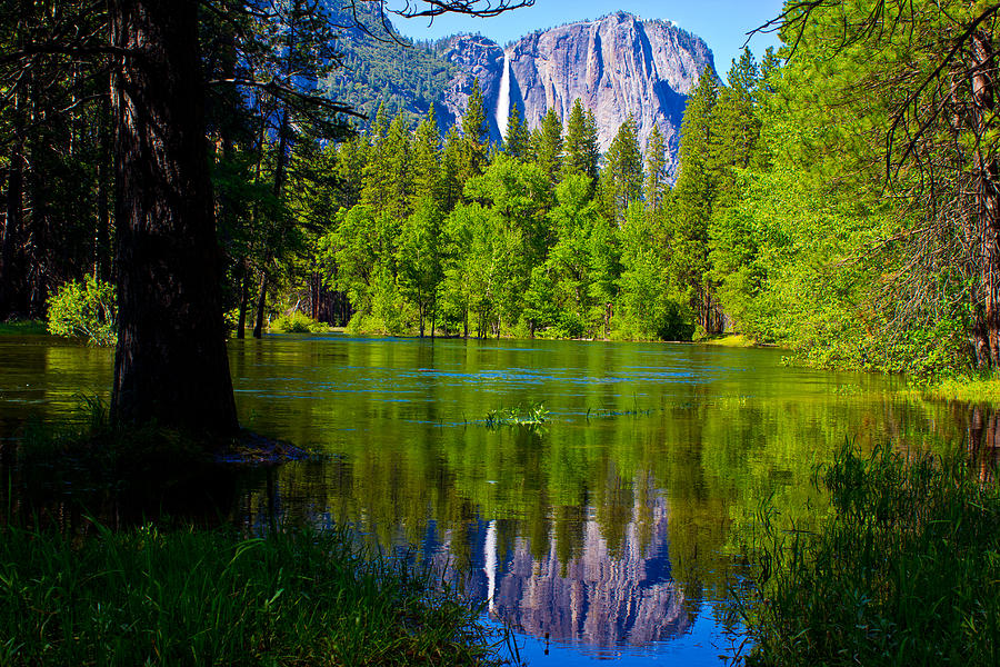 Yosemite Waterfall and reflection Photograph by John McGraw