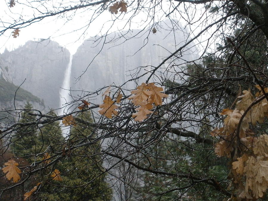 Yosemite National Park Photograph - Yosemite Waterfall by Jesse Flaherty