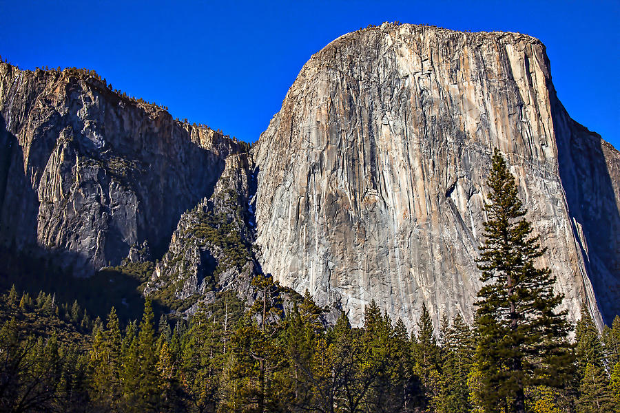 Yosemites El Capitan Photograph by Garry Gay