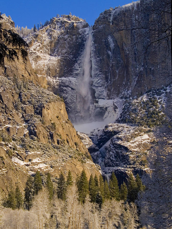 Yosemite National Park Photograph - Yosemites Splendor by Bill Gallagher