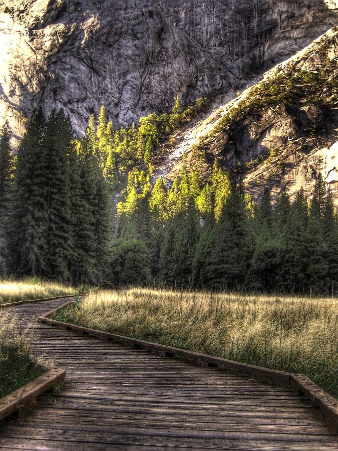 Yosemite National Park Path Photograph by Jane Linders