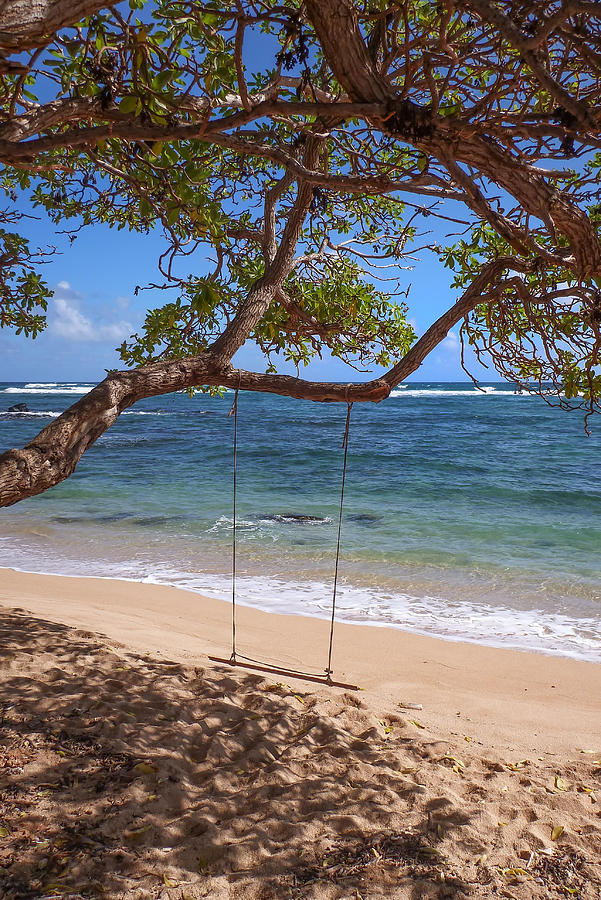 You A Swing and Kauai Photograph by Roger Mullenhour
