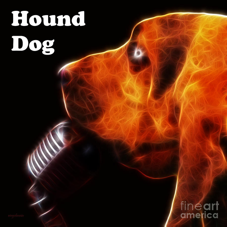 You Aint Nothing But A Hound Dog - Dark - Electric - With Text Photograph by Wingsdomain Art and Photography