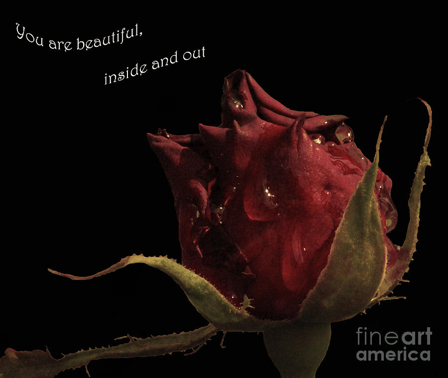 You are beautiful inside and out Photograph by Cassandra Buckley