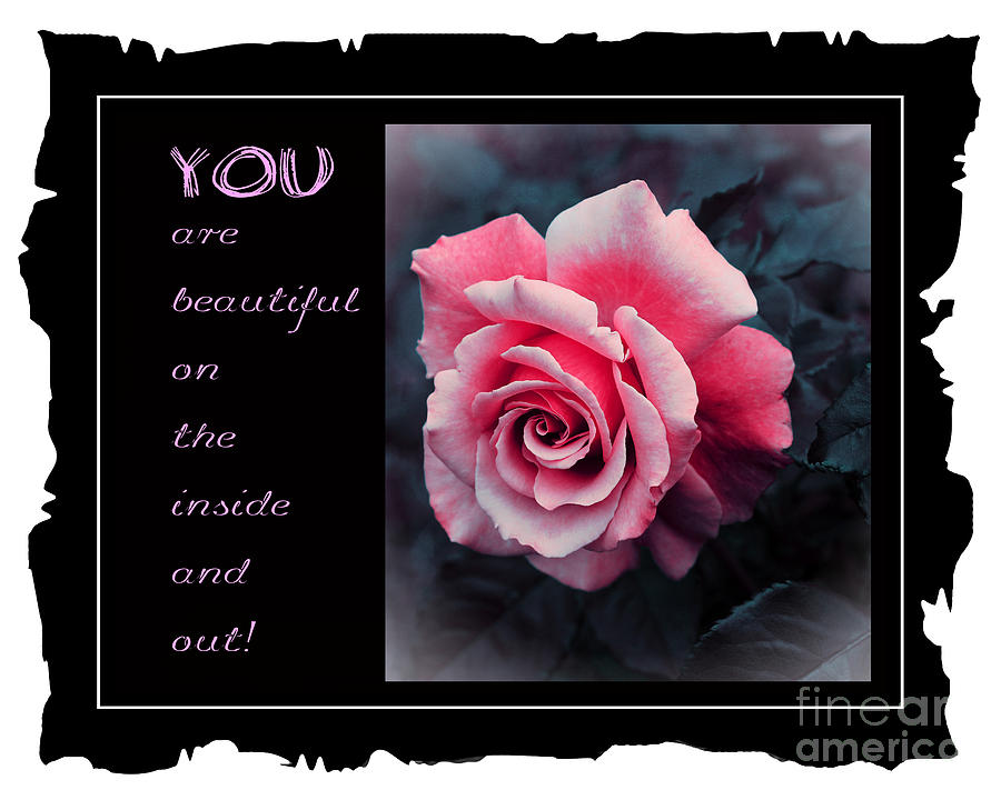 You are Beautiful on the Inside and Out Pink Rose Photograph by Barbara A Griffin