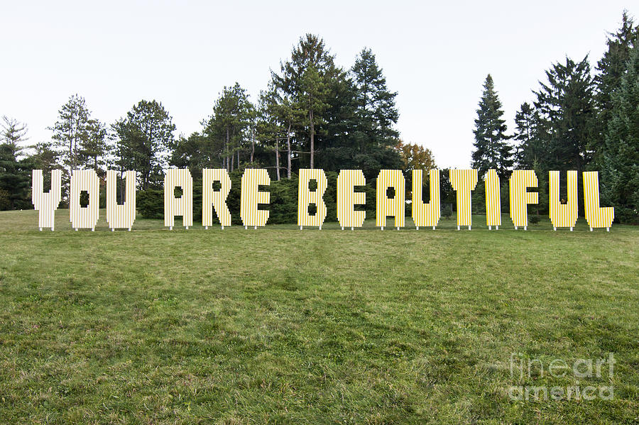 You Are Beautiful Photograph by Patty Colabuono