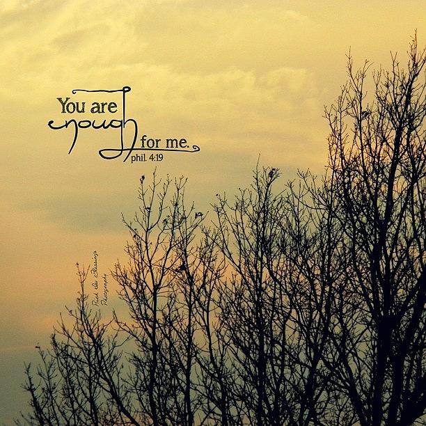 Winter Photograph - you Are Enough For Me.
what Love by Traci Beeson