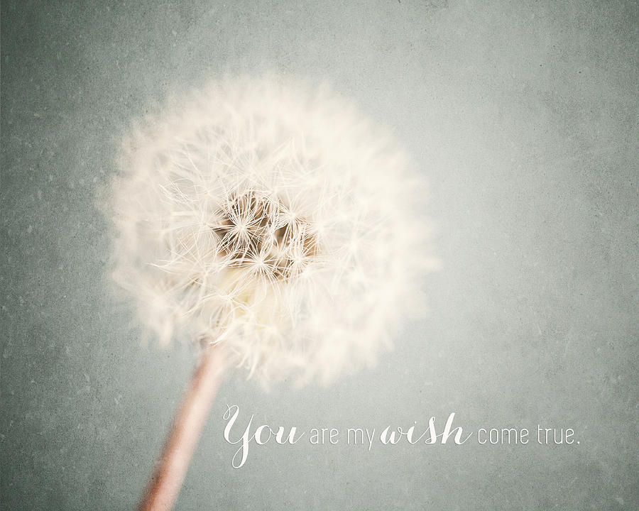 You Are My Wish Come True Typography Quote Photograph By Lisa R