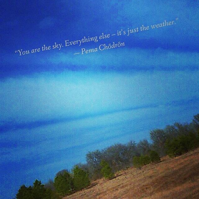 Tree Photograph - “you Are The Sky. Everything Else – by Gia Marie Houck
