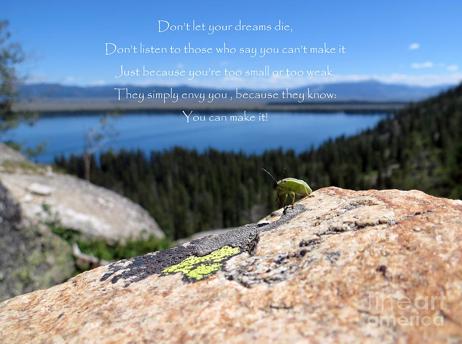 You Can Make It. Inspiration Point Photograph