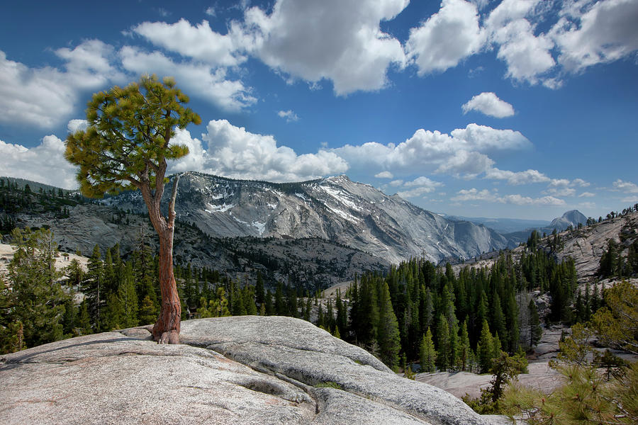 You Can See For Miles - Yosemite Photograph by Images By Steve Skinner Photography