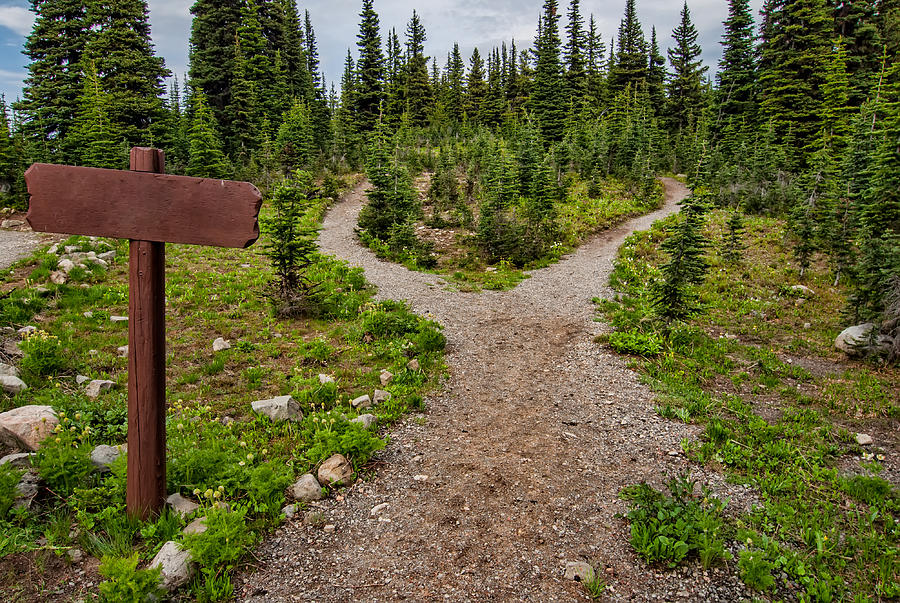 You Choose Your Path