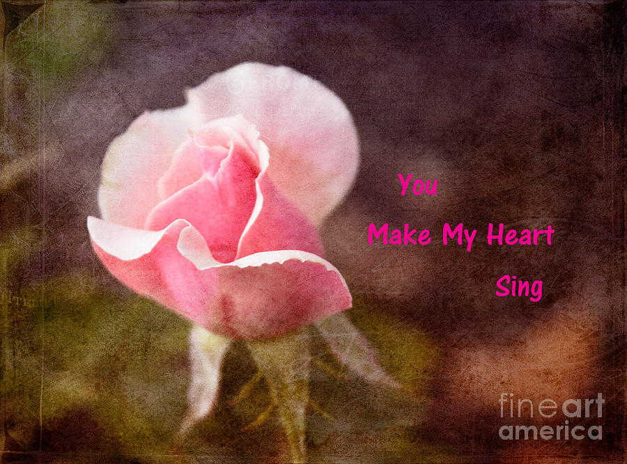 You Make My Heart Sing Photograph by Arlene Carmel