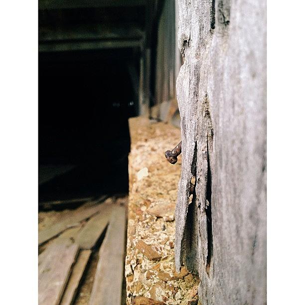 Vscocam Photograph - You Never Know What Life Will Throw At by Tyler Hoagland