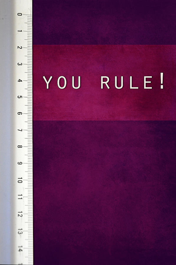You Rule Photograph by Randi Grace Nilsberg
