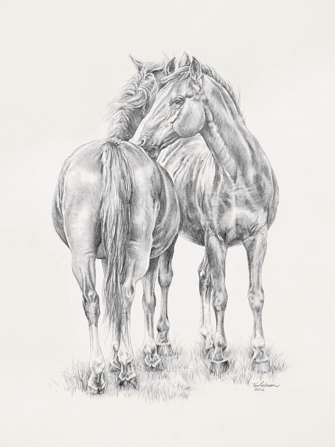 Horse Drawing - You Scratch My Back Ill Scratch Yours by Kim Lockman